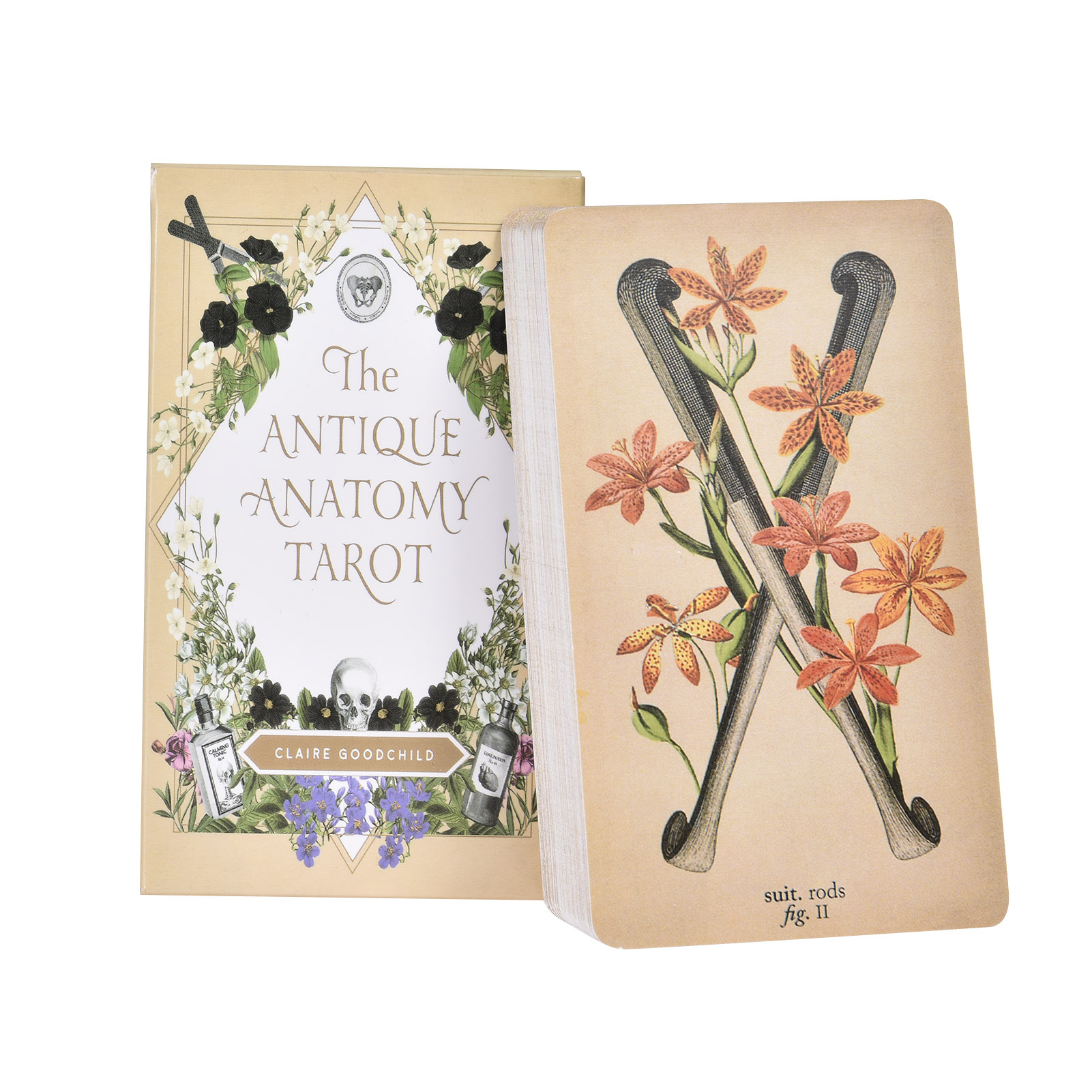Board Game Oracle - Antik Anatomi Tarot Kartları İngilizce Versiyonu